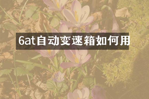 6at自动变速箱如何用
