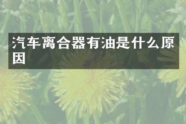 汽车离合器有油是什么原因