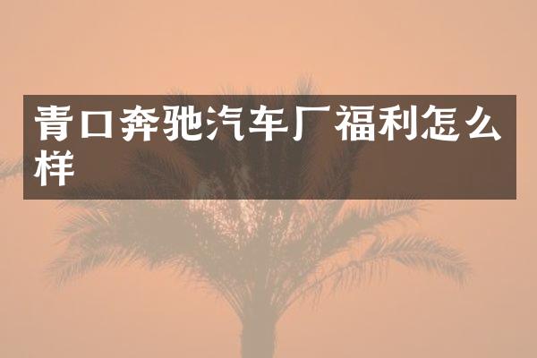 青口奔驰汽车厂福利怎么样