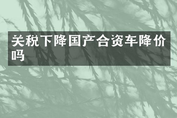 关税下降国产合资车降价吗