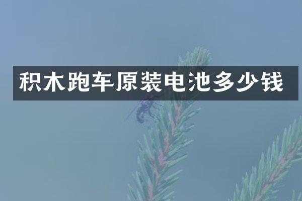 积木跑车原装电池多少钱