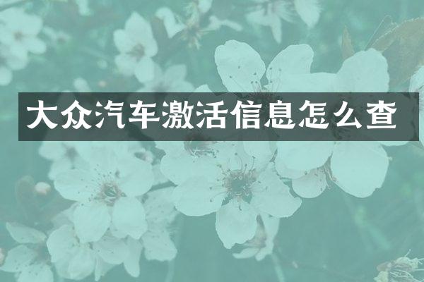 大众汽车激活信息怎么查