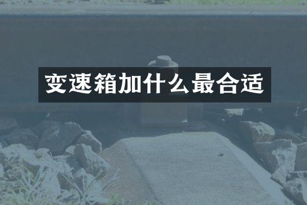 变速箱加什么最合适