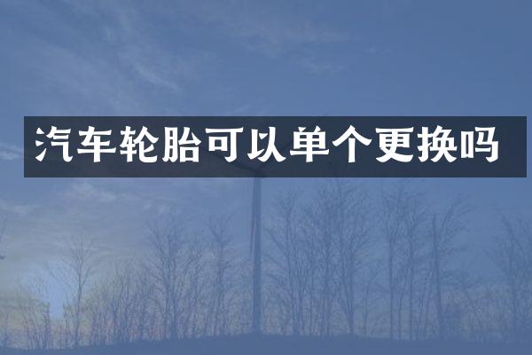 汽车轮胎可以单个更换吗