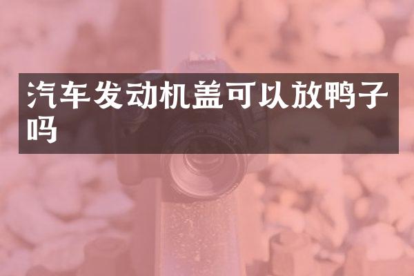 汽车发动机盖可以放鸭子吗