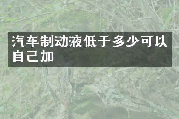 汽车制动液低于多少可以自己加