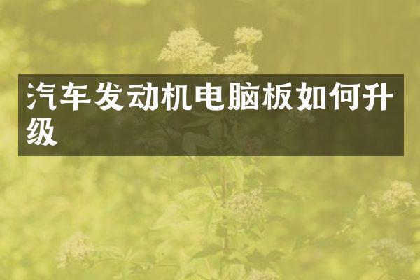 汽车发动机电脑板如何升级