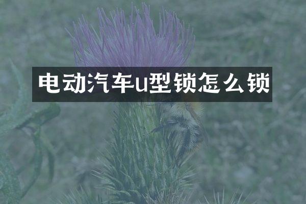 电动汽车u型锁怎么锁