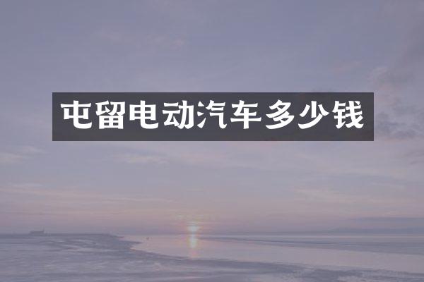 屯留电动汽车多少钱
