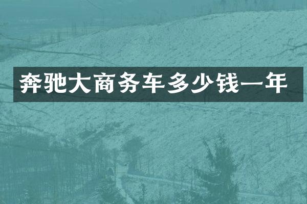 奔驰大商务车多少钱一年