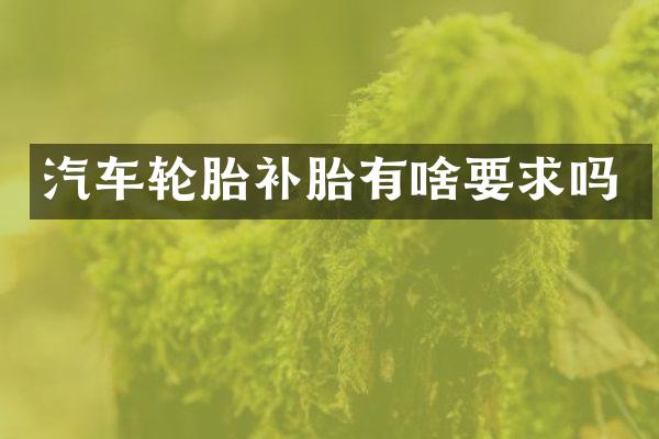 汽车轮胎补胎有啥要求吗