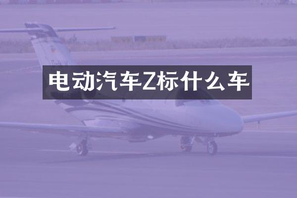 电动汽车Z标什么车
