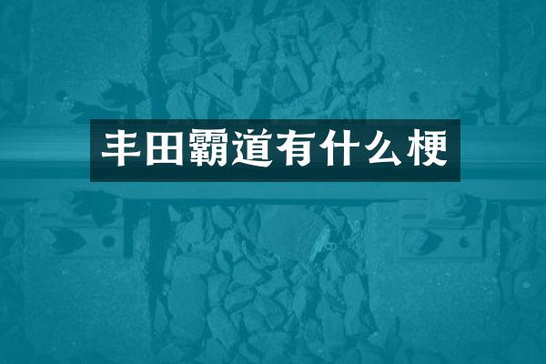 丰田霸道有什么梗