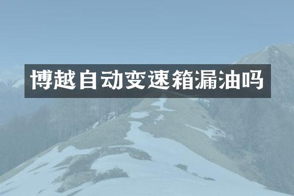 博越自动变速箱漏油吗