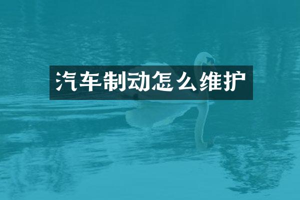 汽车制动怎么维护