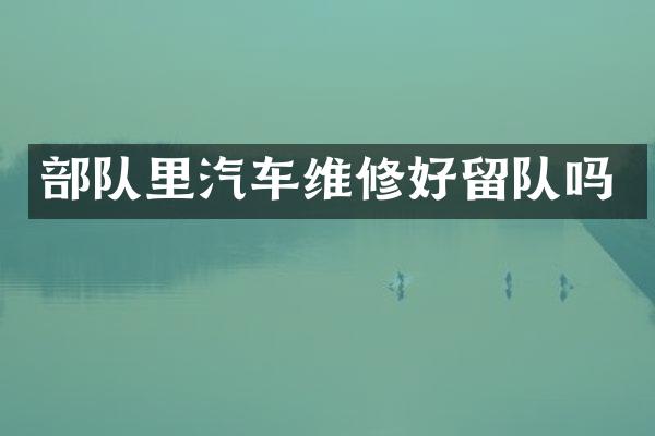 部队里汽车维修好留队吗