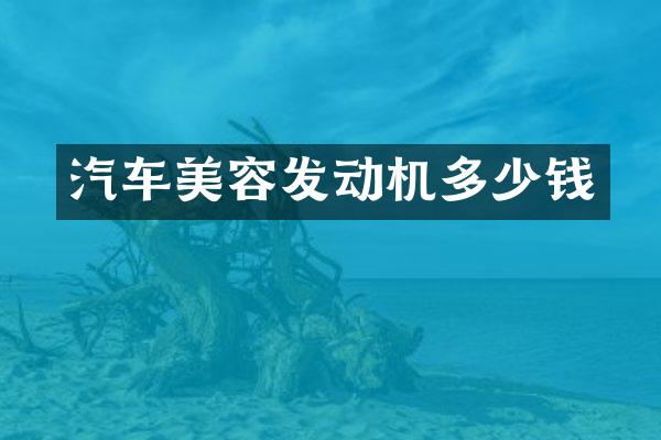 汽车美容发动机多少钱