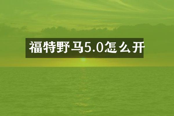 福特野马5.0怎么开