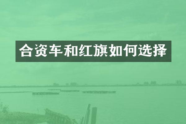 合资车和红旗如何选择