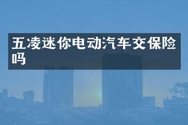 五凌迷你电动汽车交保险吗