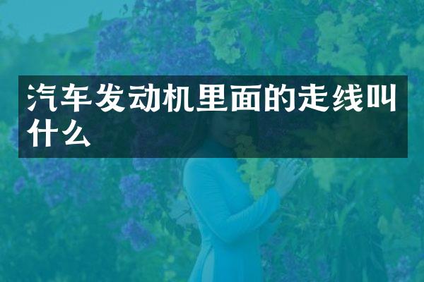 汽车发动机里面的走线叫什么
