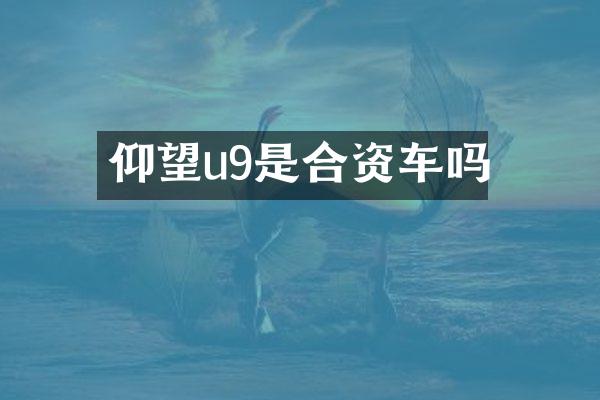 仰望u9是合资车吗