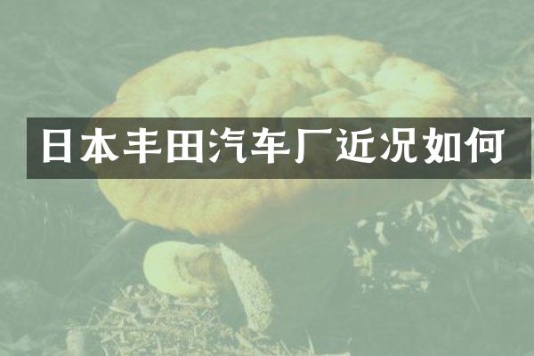 日本丰田汽车厂近况如何
