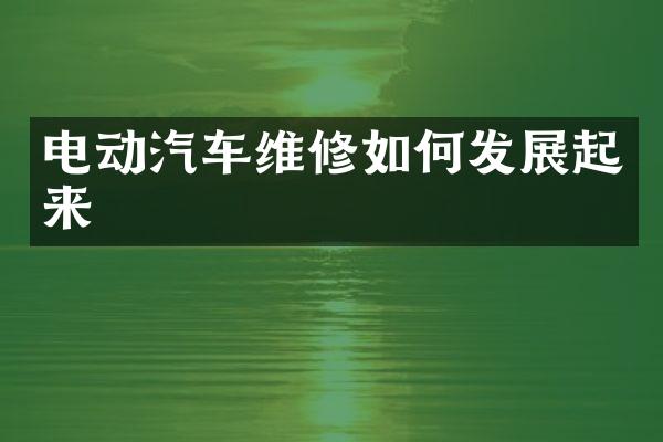 电动汽车维修如何发展起来