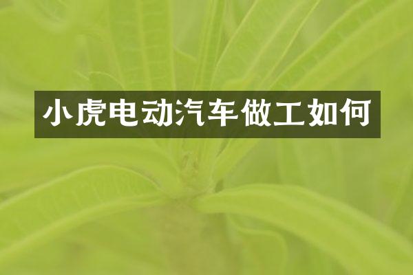 小虎电动汽车做工如何