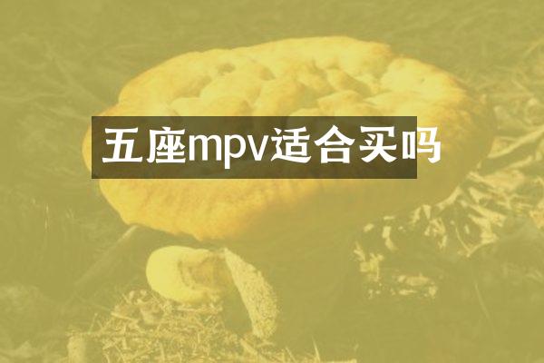 五座mpv适合买吗