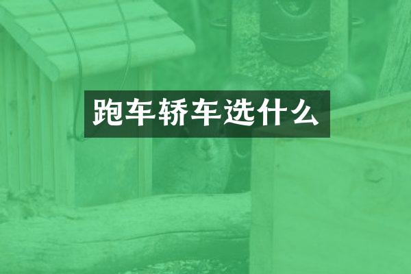 跑车轿车选什么