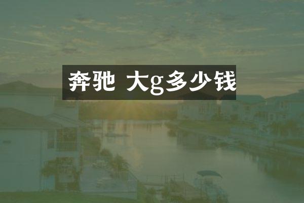 奔驰 大g多少钱