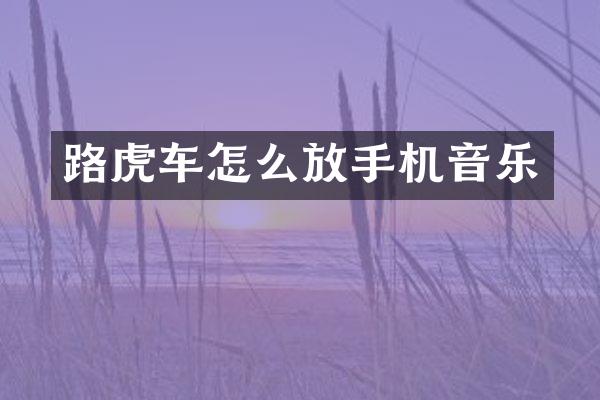 路虎车怎么放手机音乐