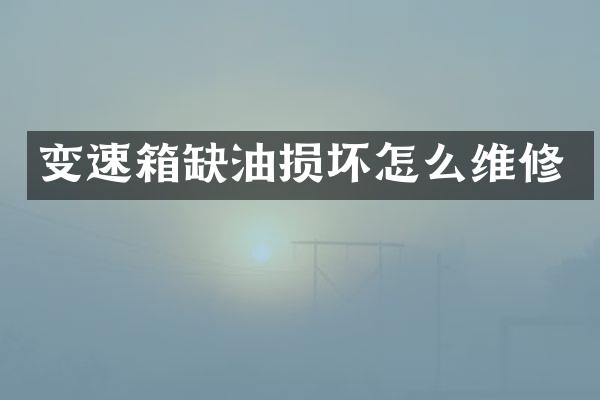 变速箱缺油损坏怎么维修