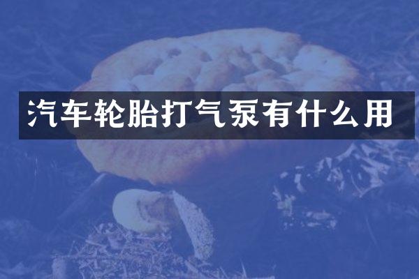 汽车轮胎打气泵有什么用