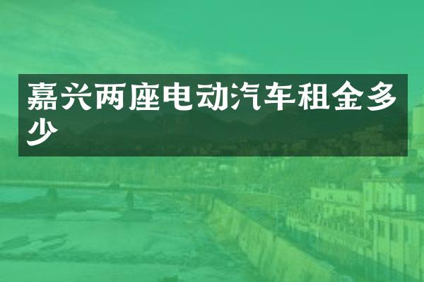 嘉兴两座电动汽车租金多少