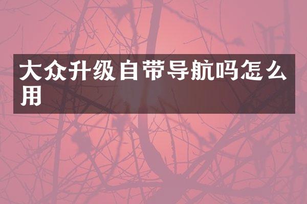 大众升级自带导航吗怎么用