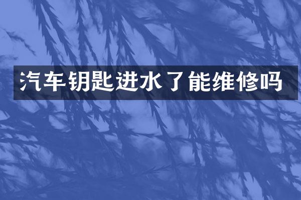 汽车钥匙进水了能维修吗