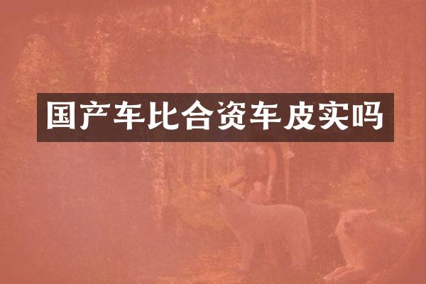 国产车比合资车皮实吗