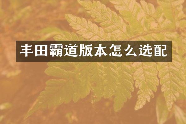 丰田霸道版本怎么选配