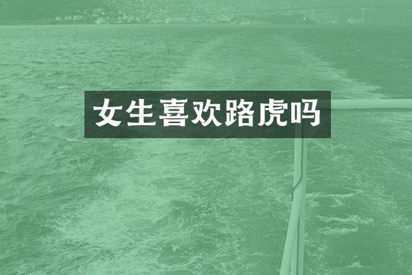 女生喜欢路虎吗