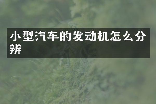 小型汽车的发动机怎么分辨