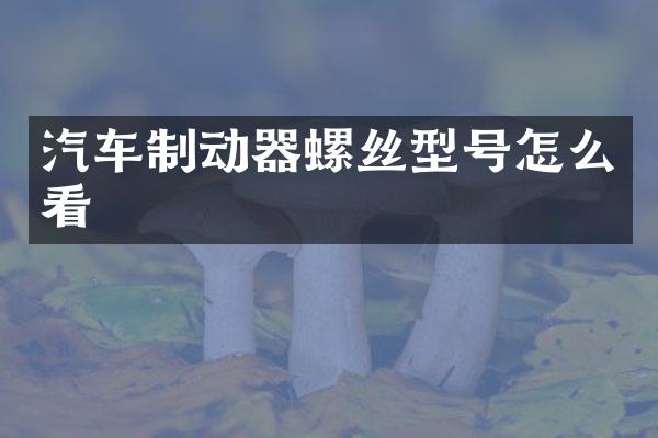 汽车制动器螺丝型号怎么看