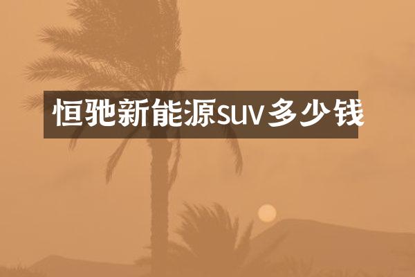 恒驰新能源suv多少钱