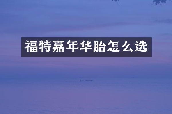 福特嘉年华胎怎么选