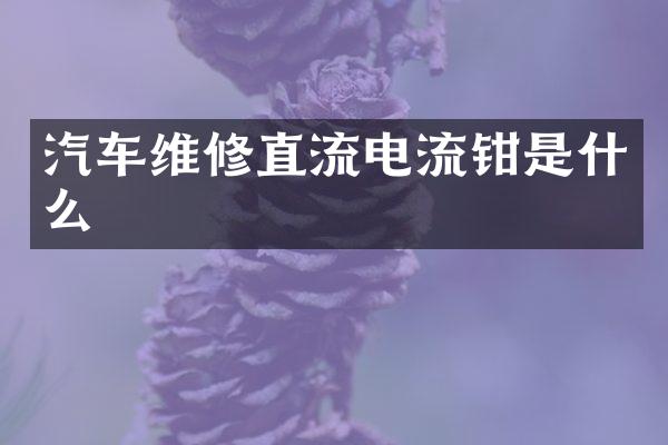 汽车维修直流电流钳是什么