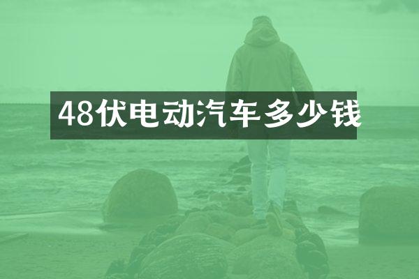 48伏电动汽车多少钱