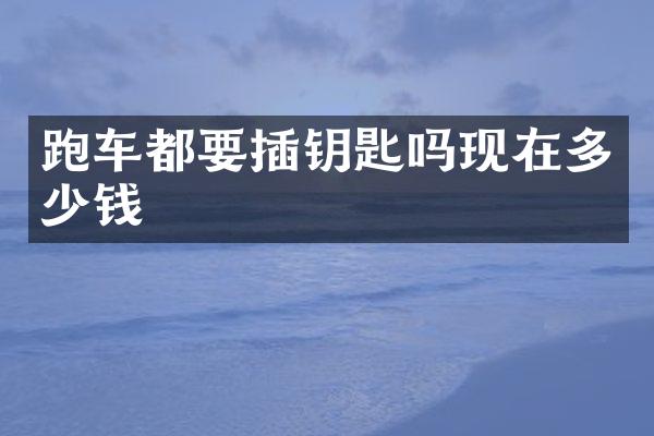 跑车都要插钥匙吗现在多少钱