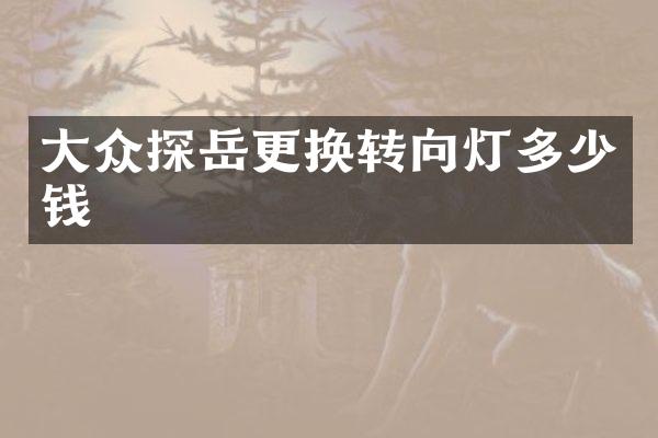 大众探岳更换转向灯多少钱