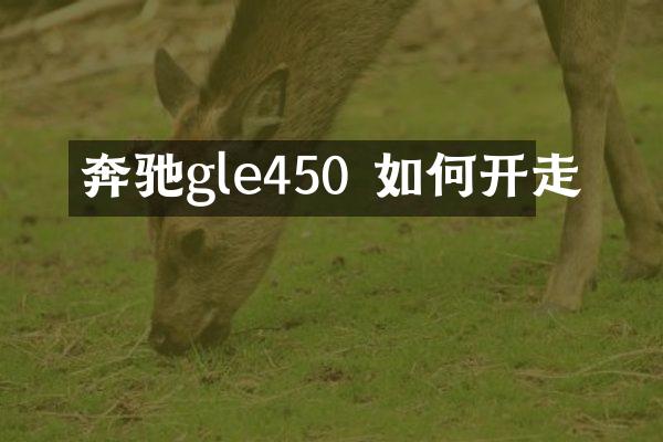 奔驰gle450 如何开走